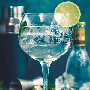 Walk 'N' Taste - Gin & Tonic