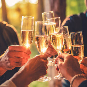 Champagne Smagning i Nordskoven